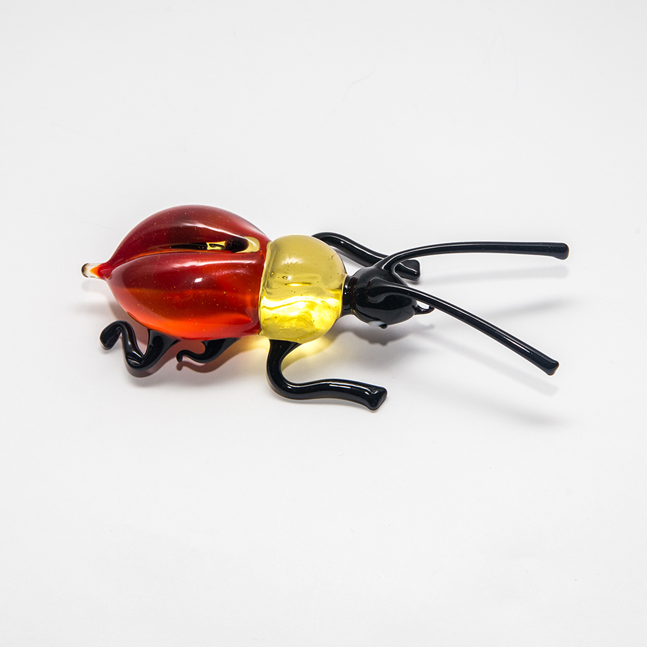 Beetle, XL-031