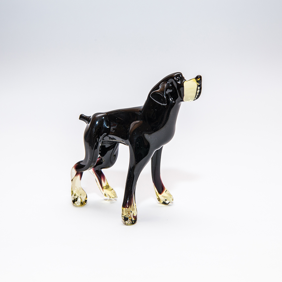 Hund, large-dog_PLUS-07