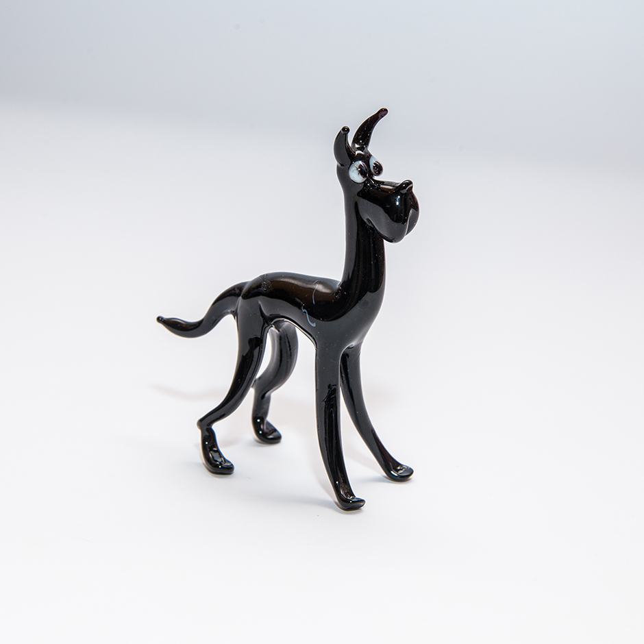 Hund, midi-dog-02