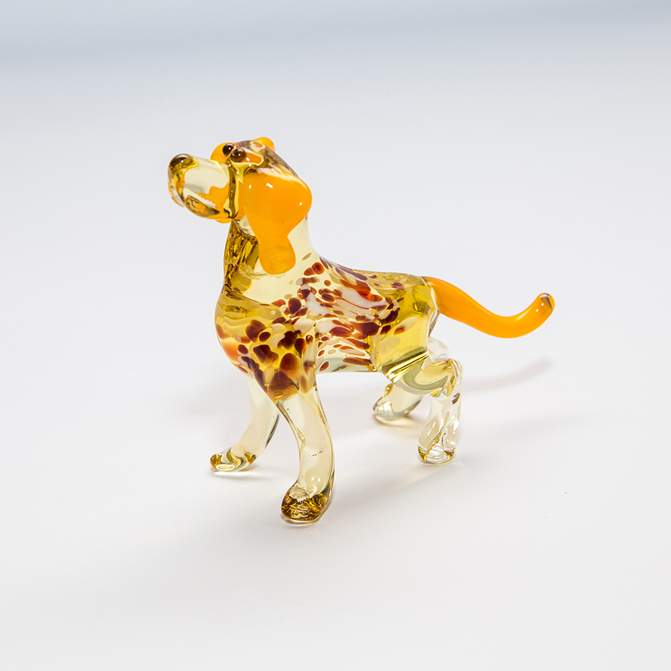 Hund, midi-dog-05