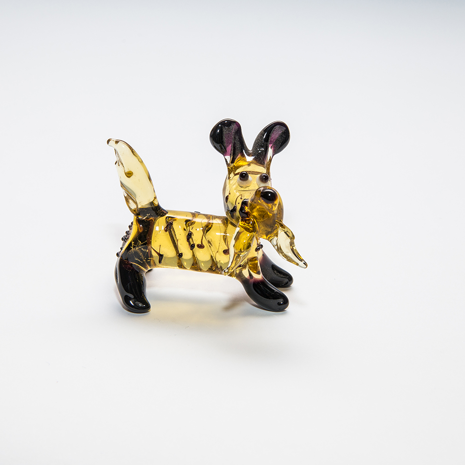 Собака з високими вухами, midi-dog-11