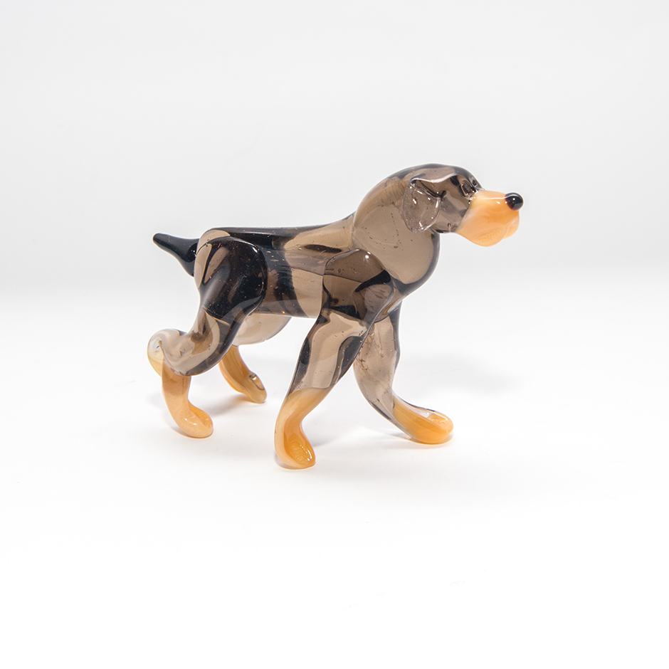 Pies, midi-dog-28