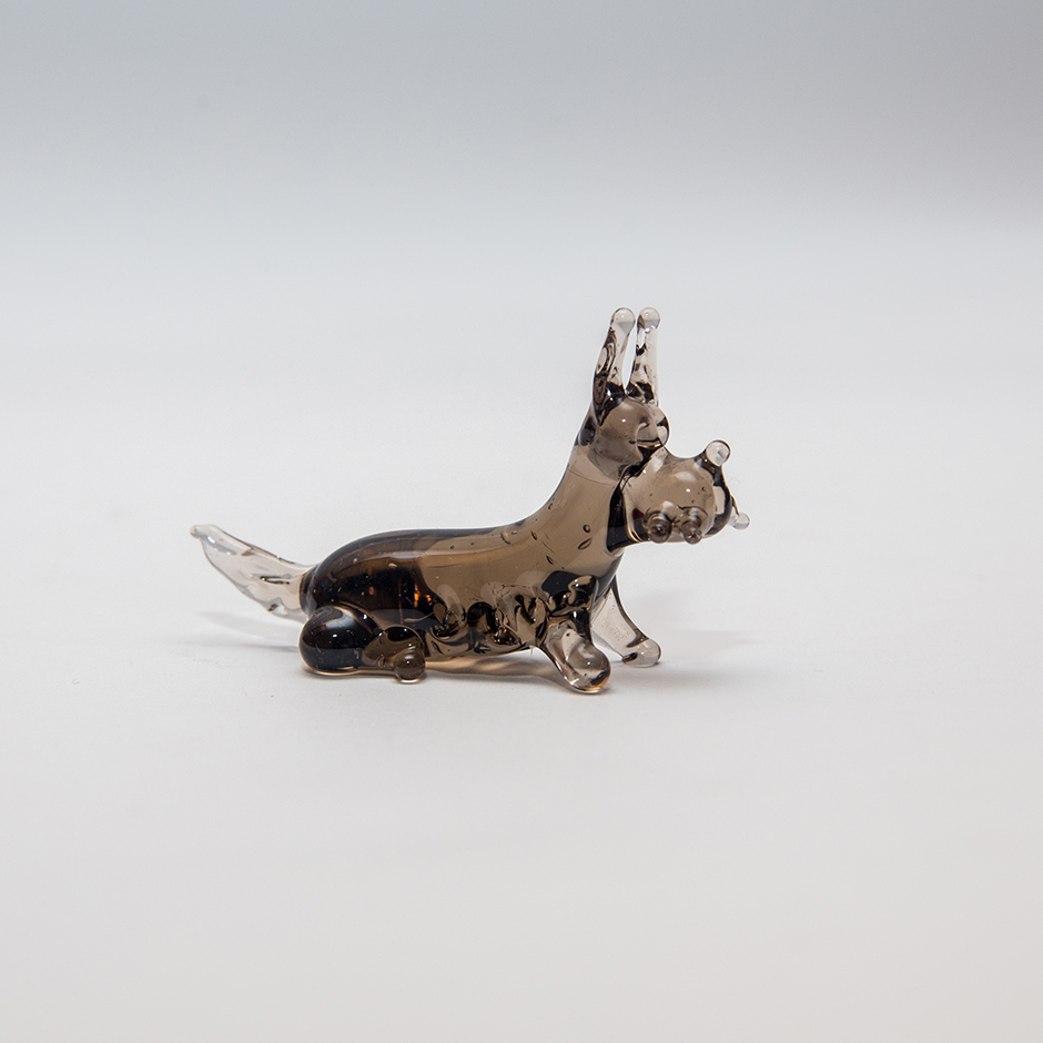 Собака, що лежить, mini-dog-PLUS_15