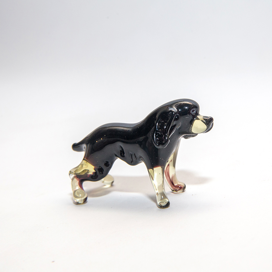 Hund, mini-dog-PLUS_35