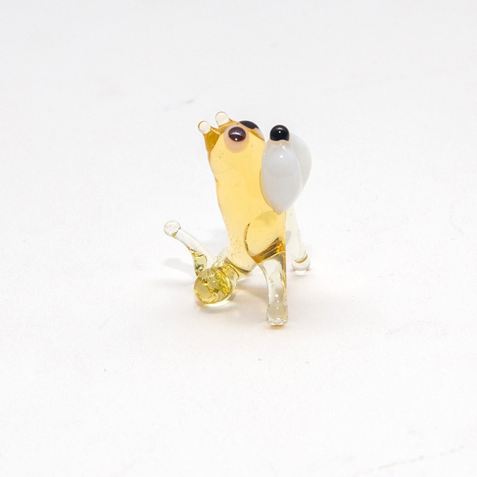 Dog, mini-dog-10