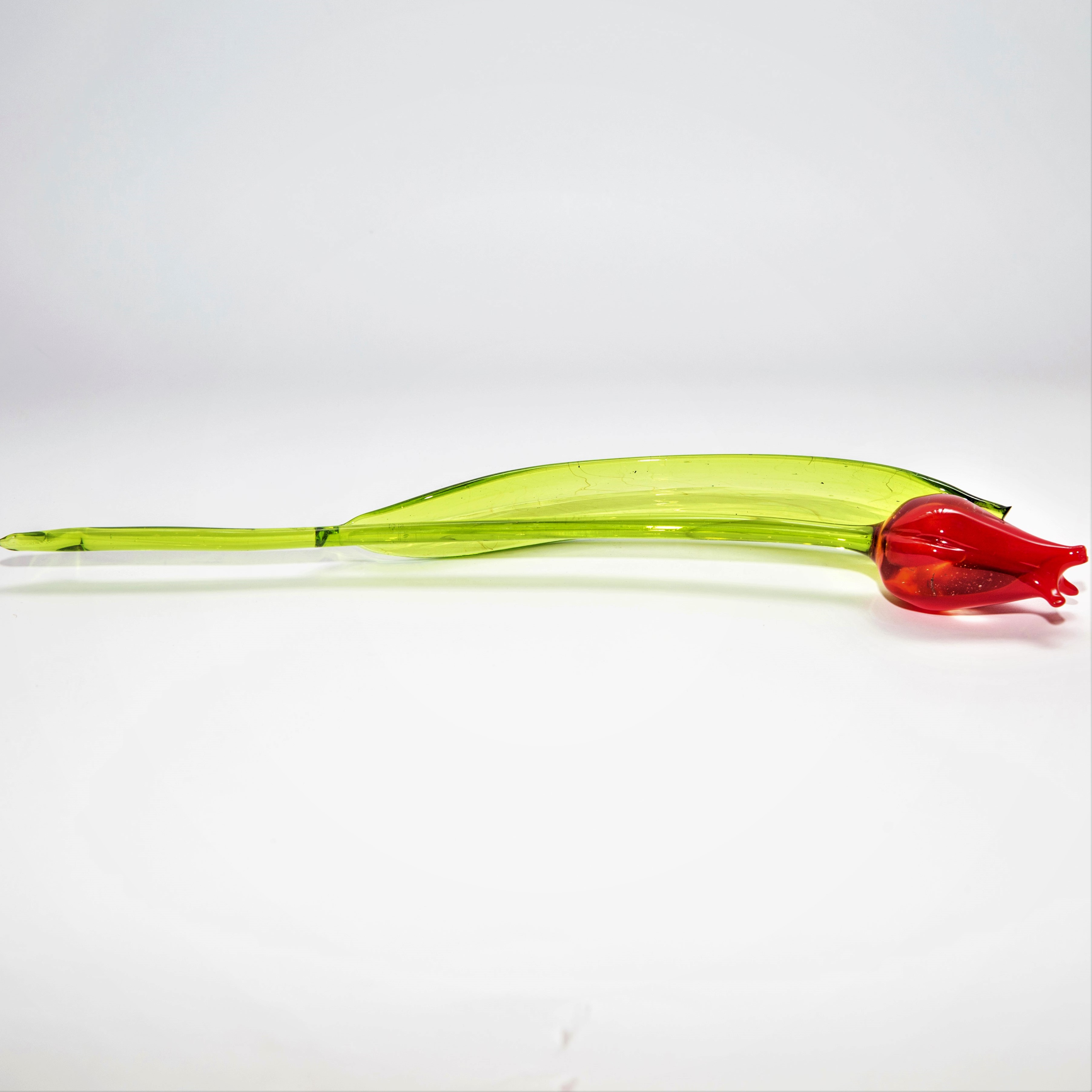 Tulip flower, FL-019