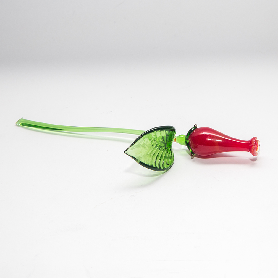 Glockenblumenblüte, FL-S-011