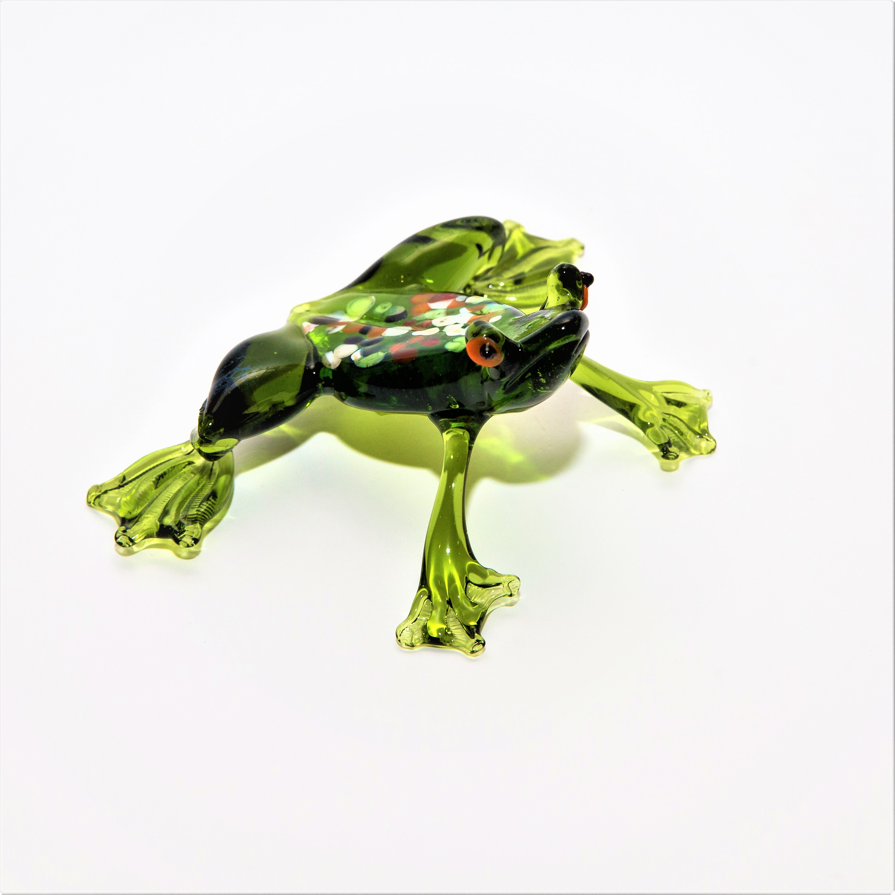 Frog, large-384