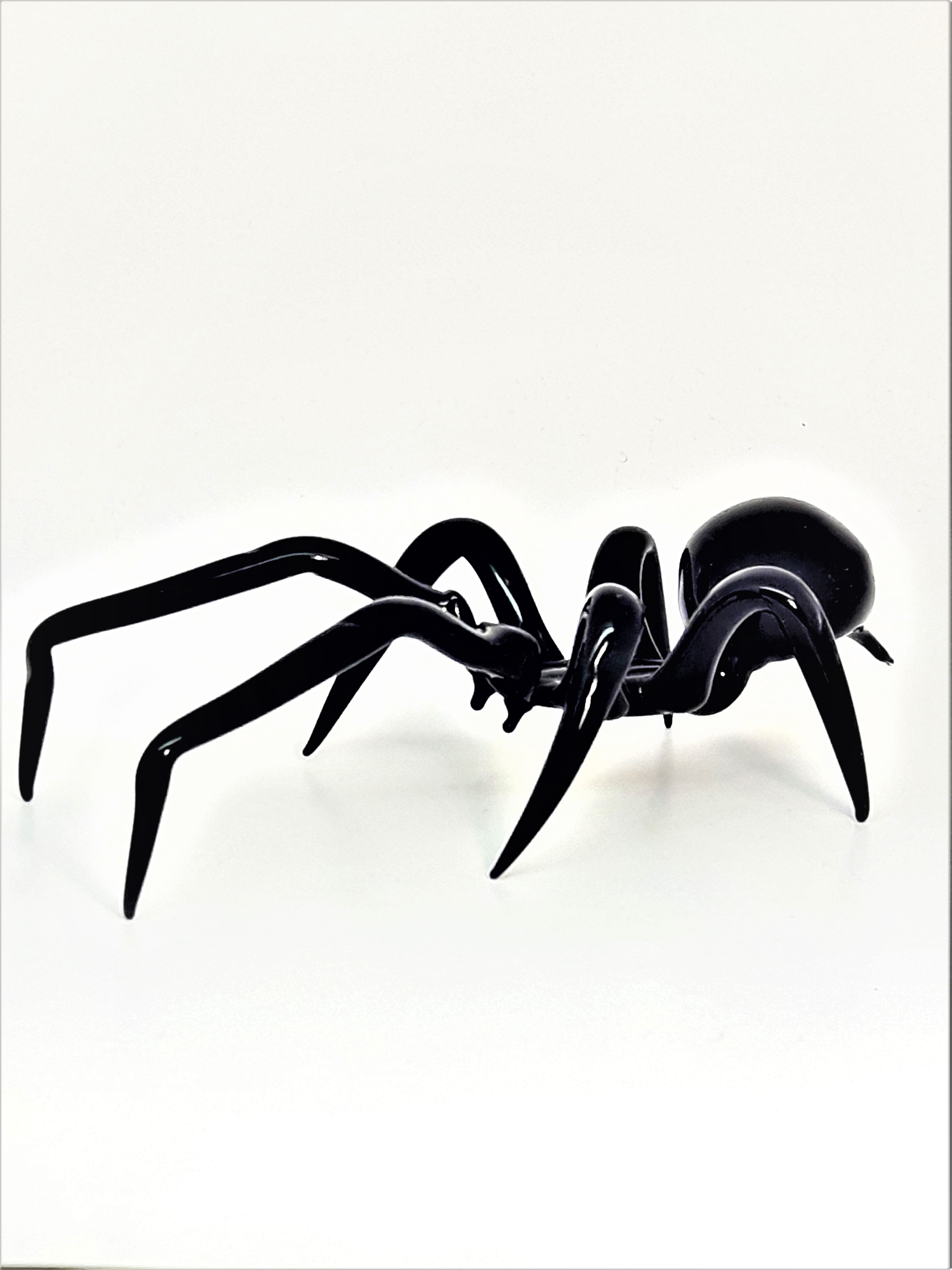 Spinne, large-389