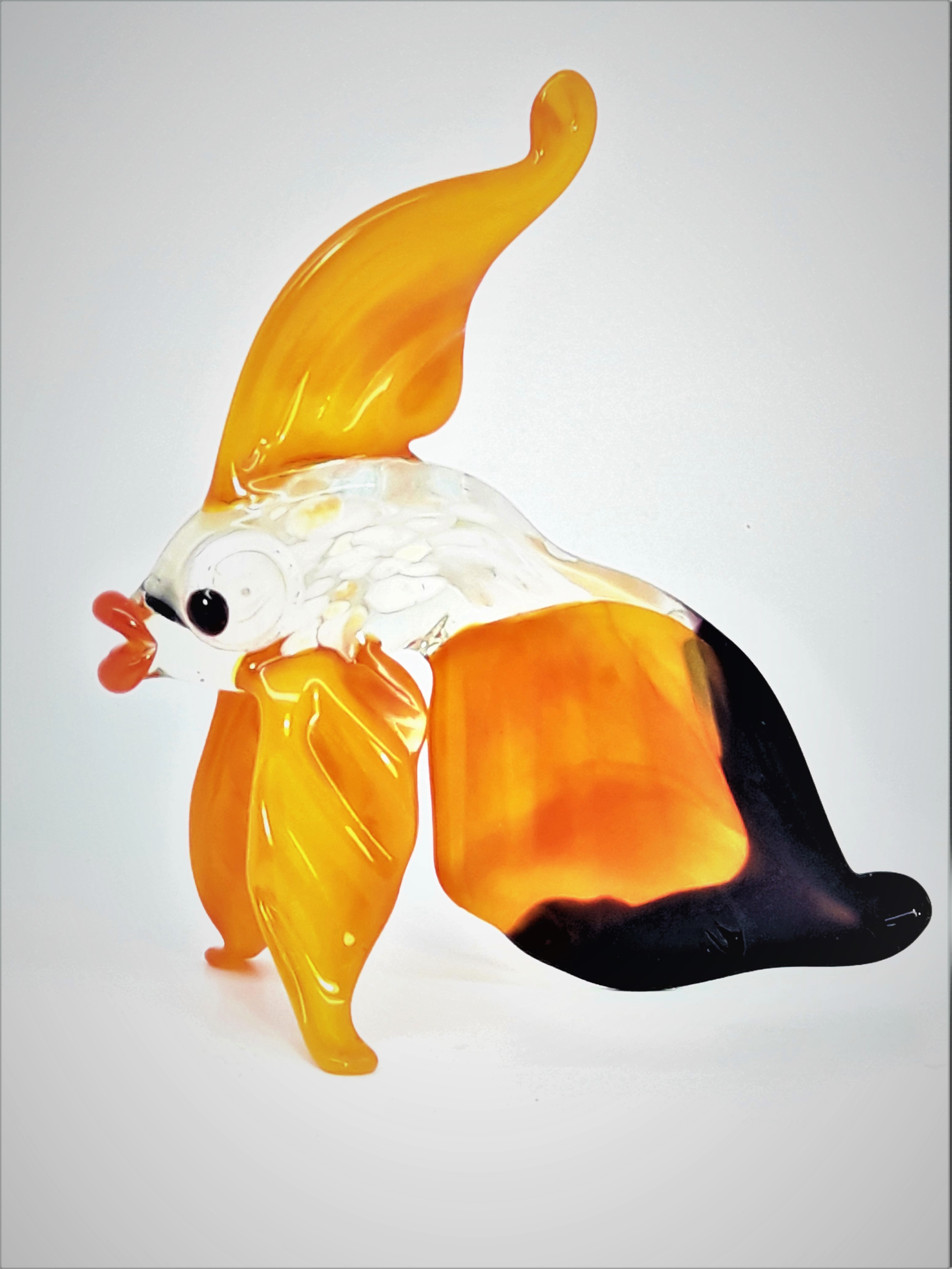 Fish, large-407