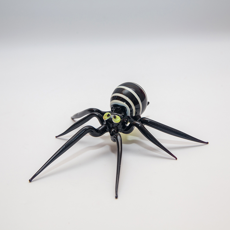 Spinne, large-095
