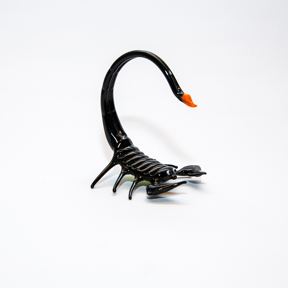 Scorpion, large-141
