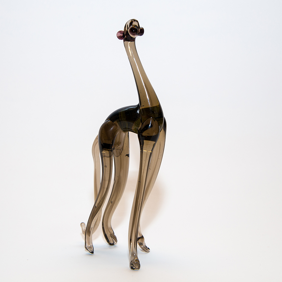 Cat, large-173