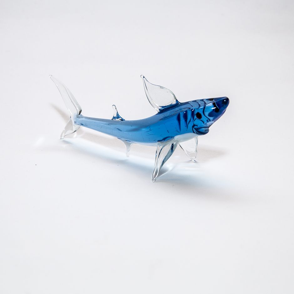 Shark, large-304