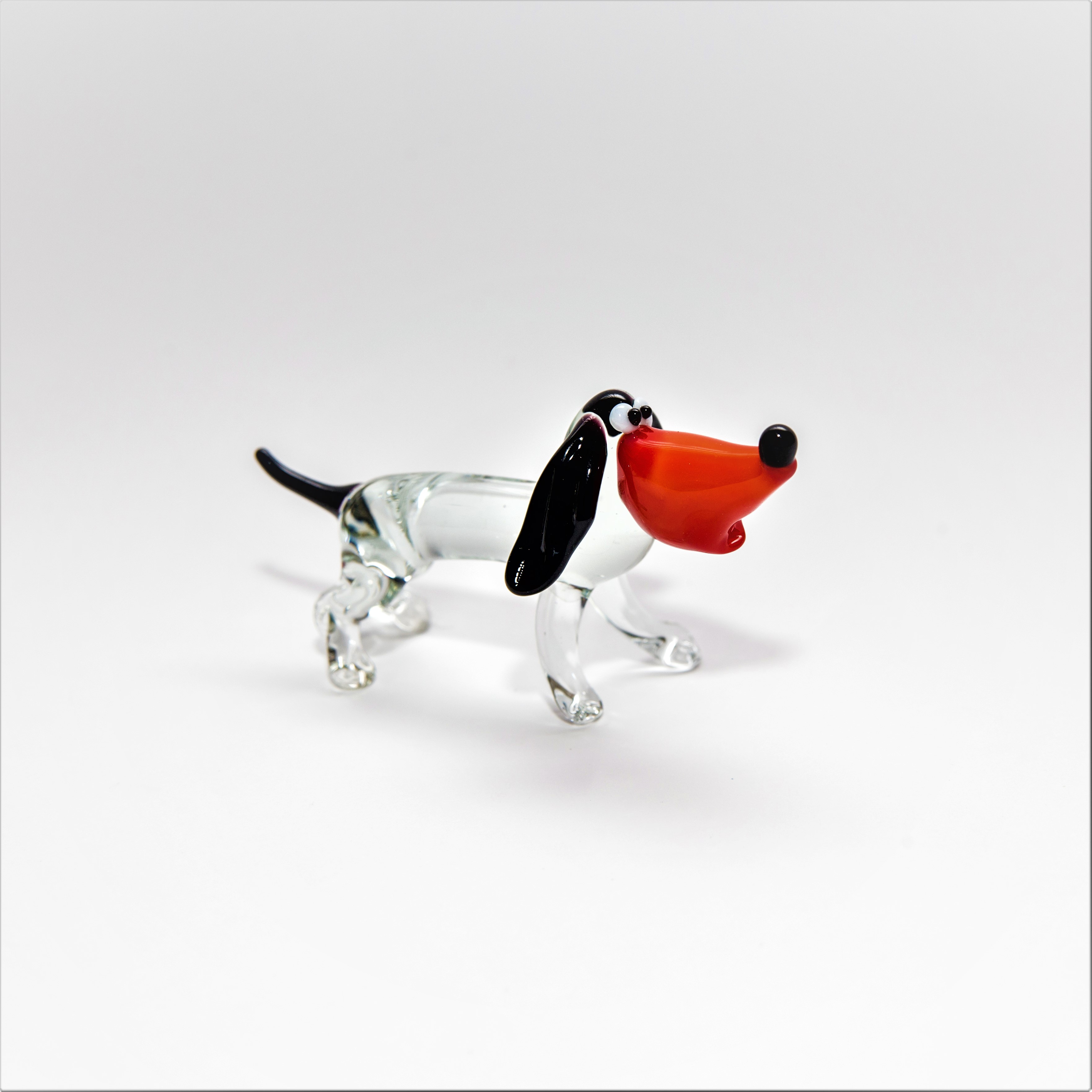 Собака з широкою мордою, midi -247