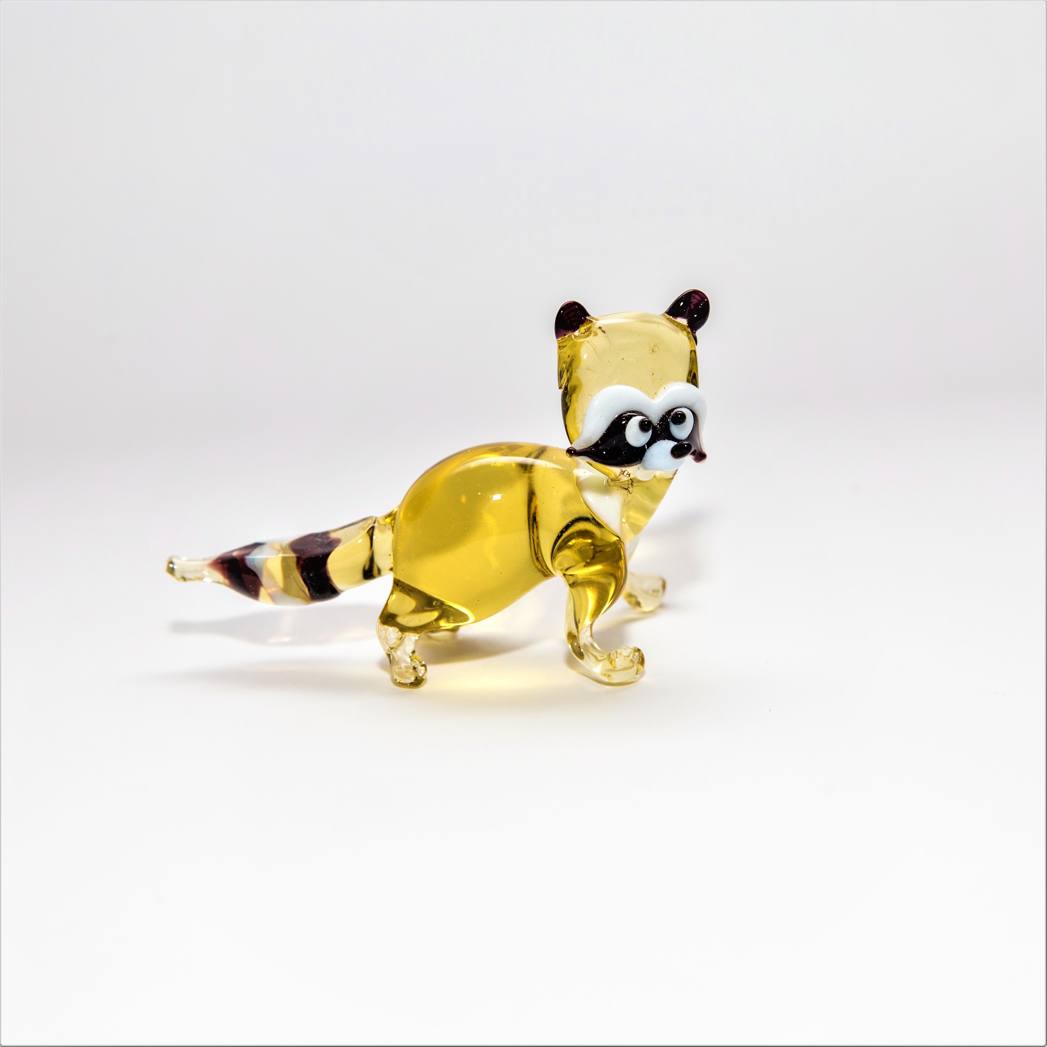 Waschbär, midi -251