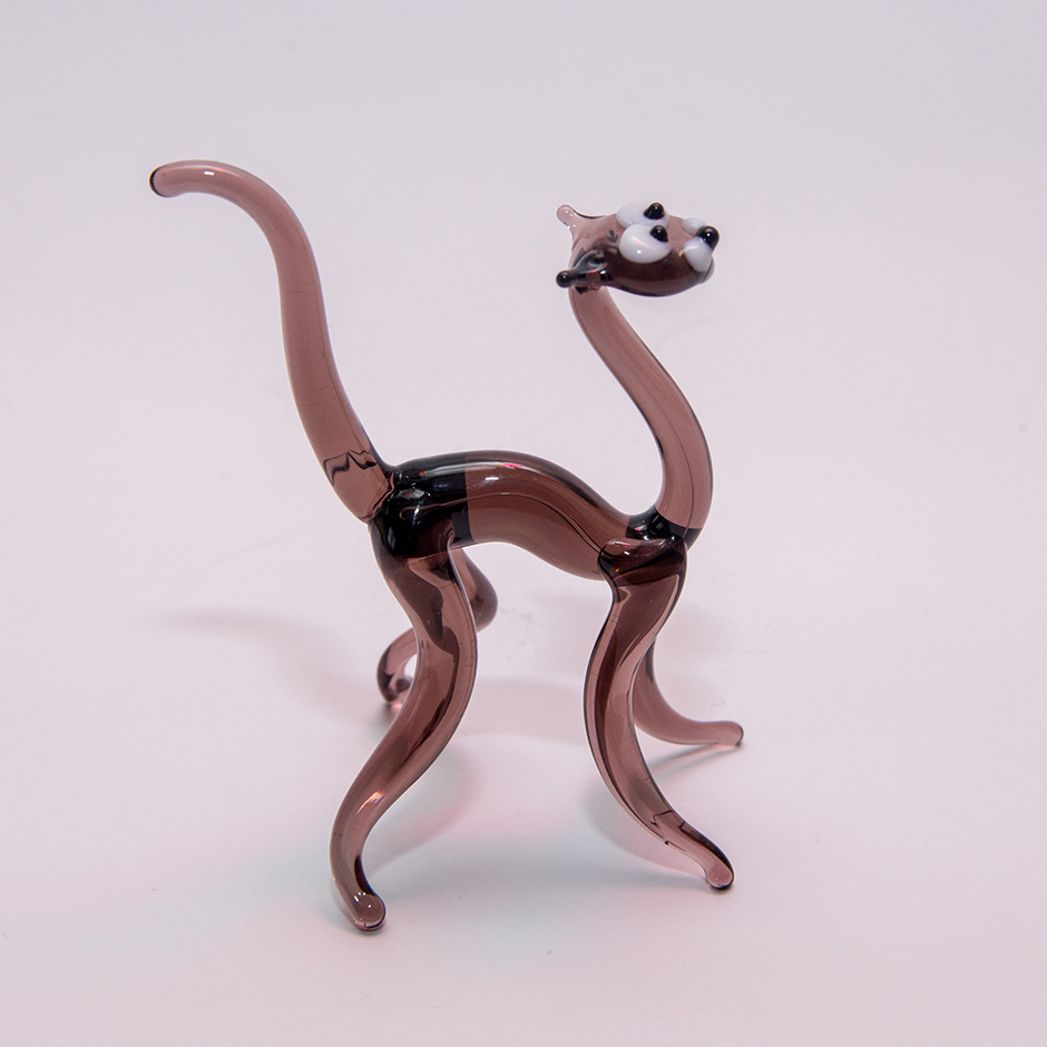 Cat, midi -076