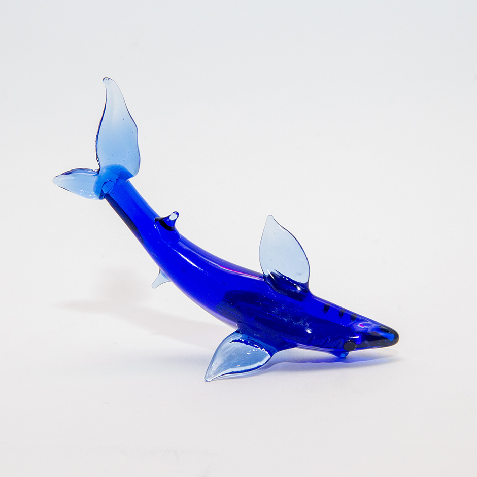 Shark, midi -183