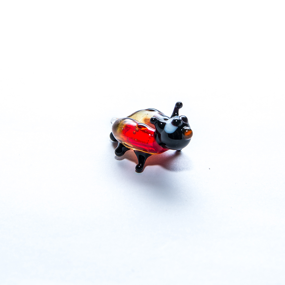 Biedronka, mini-002