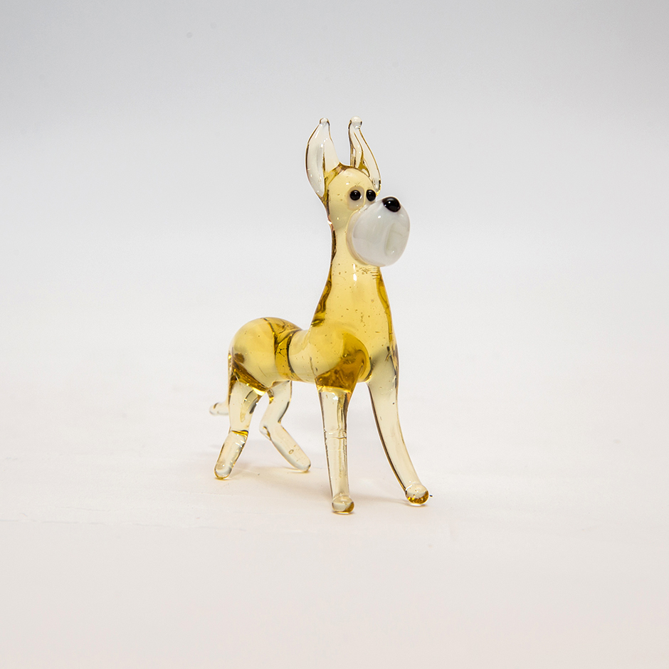 Hund, mini_plus_008
