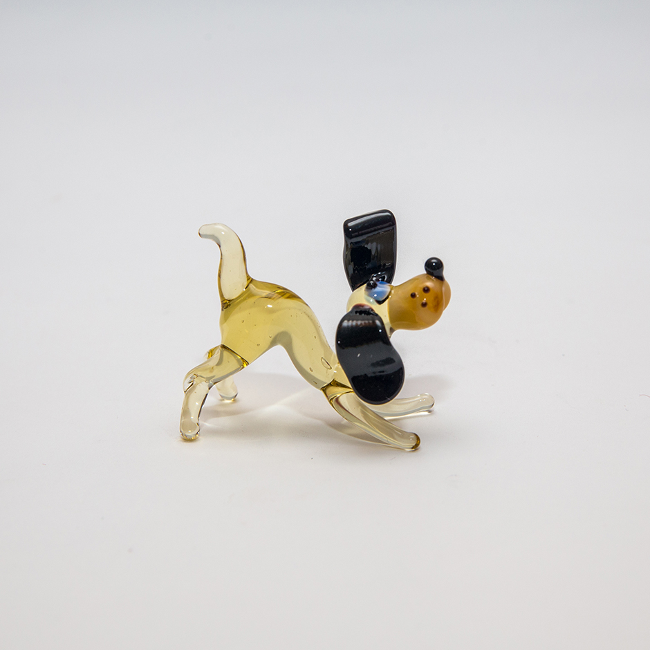 Hund, mini_plus_060