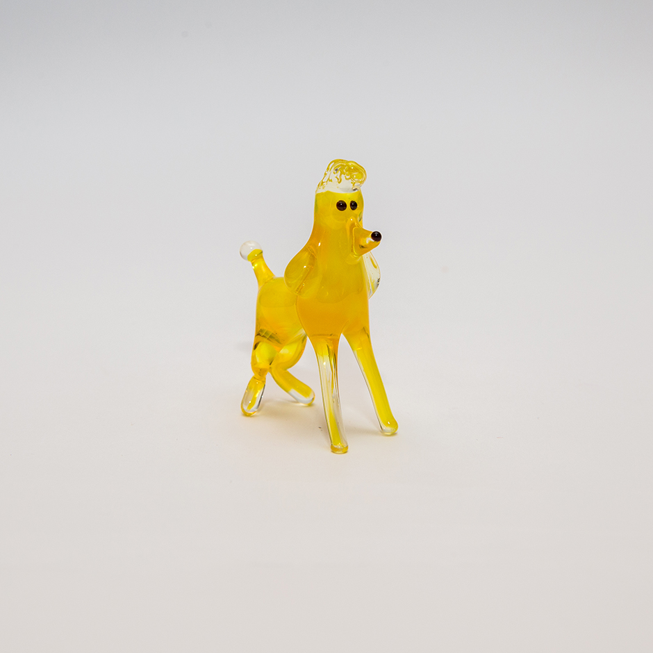 Pudel, mini_plus_144