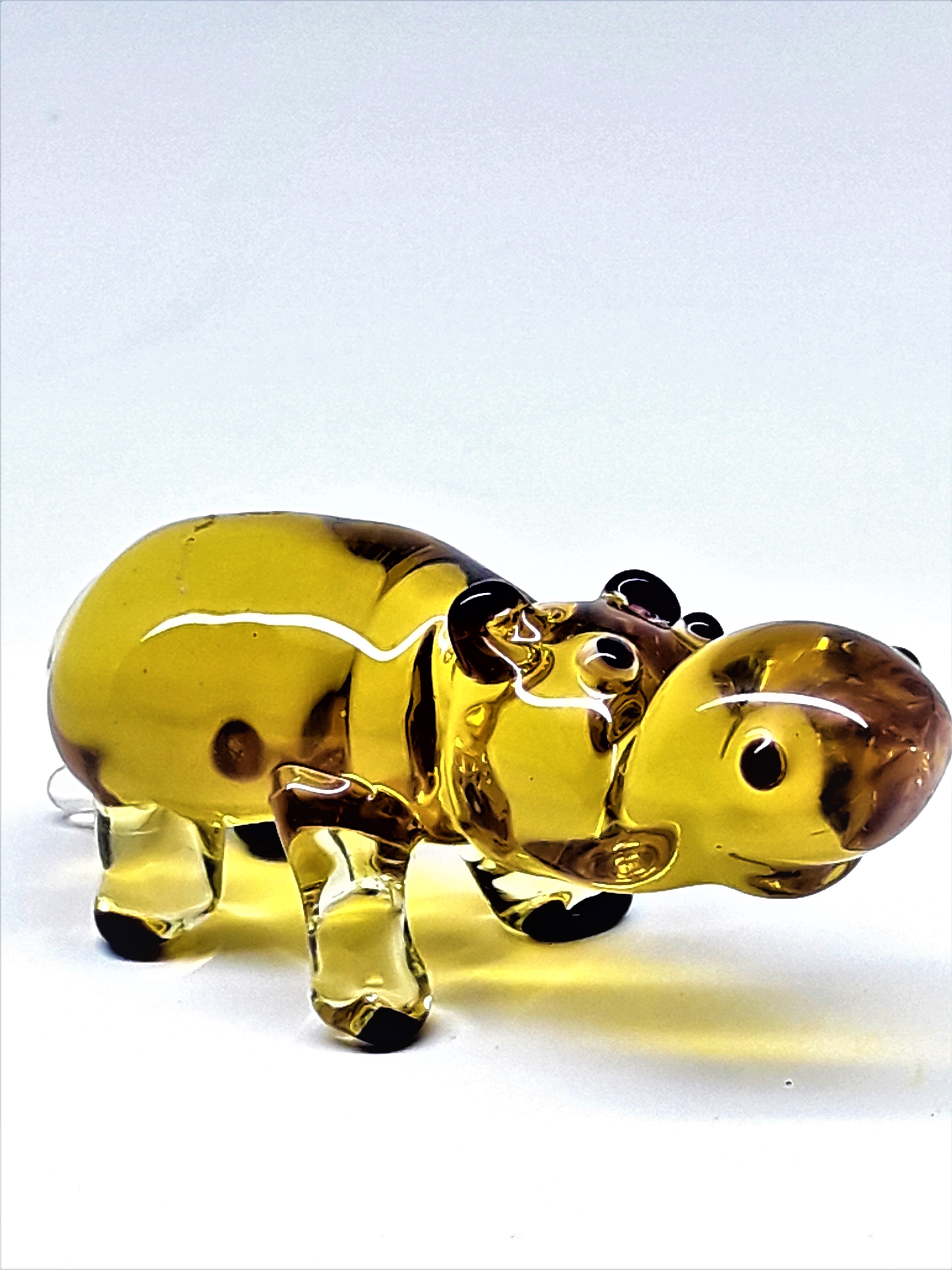 Бегемот з округлою мордочкою, Small -026
