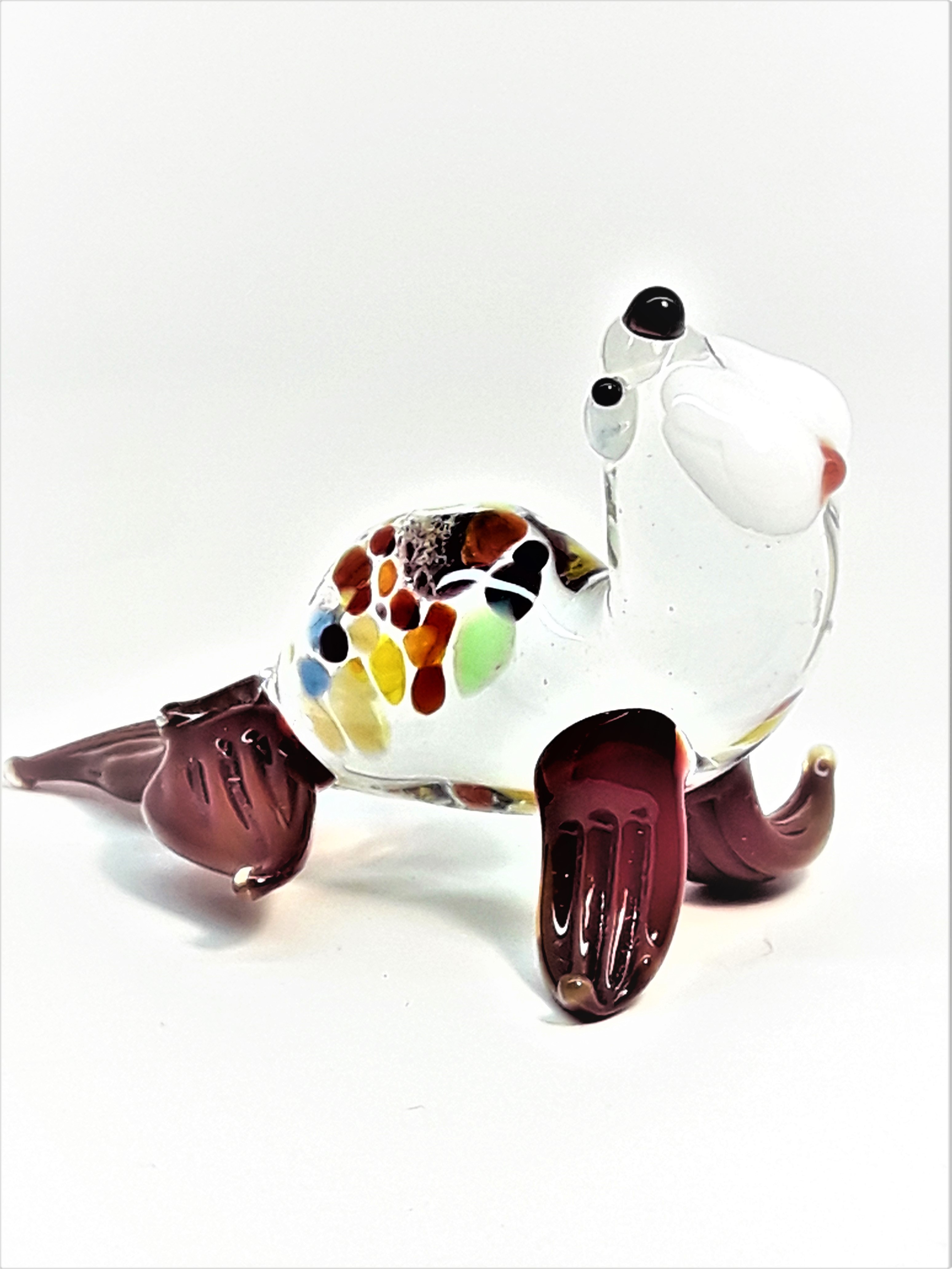 Foka, Small -049