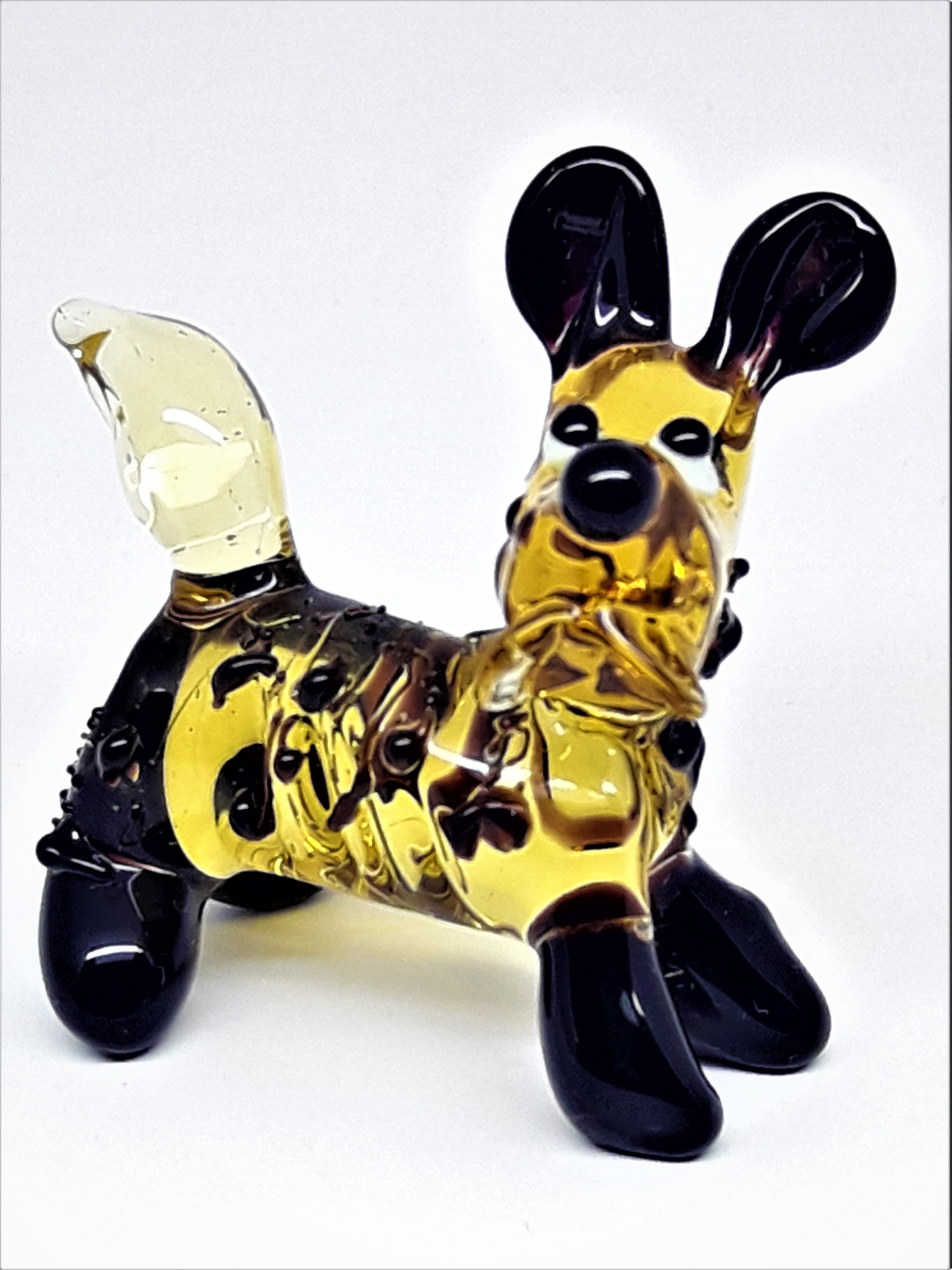 Hund, Small -056