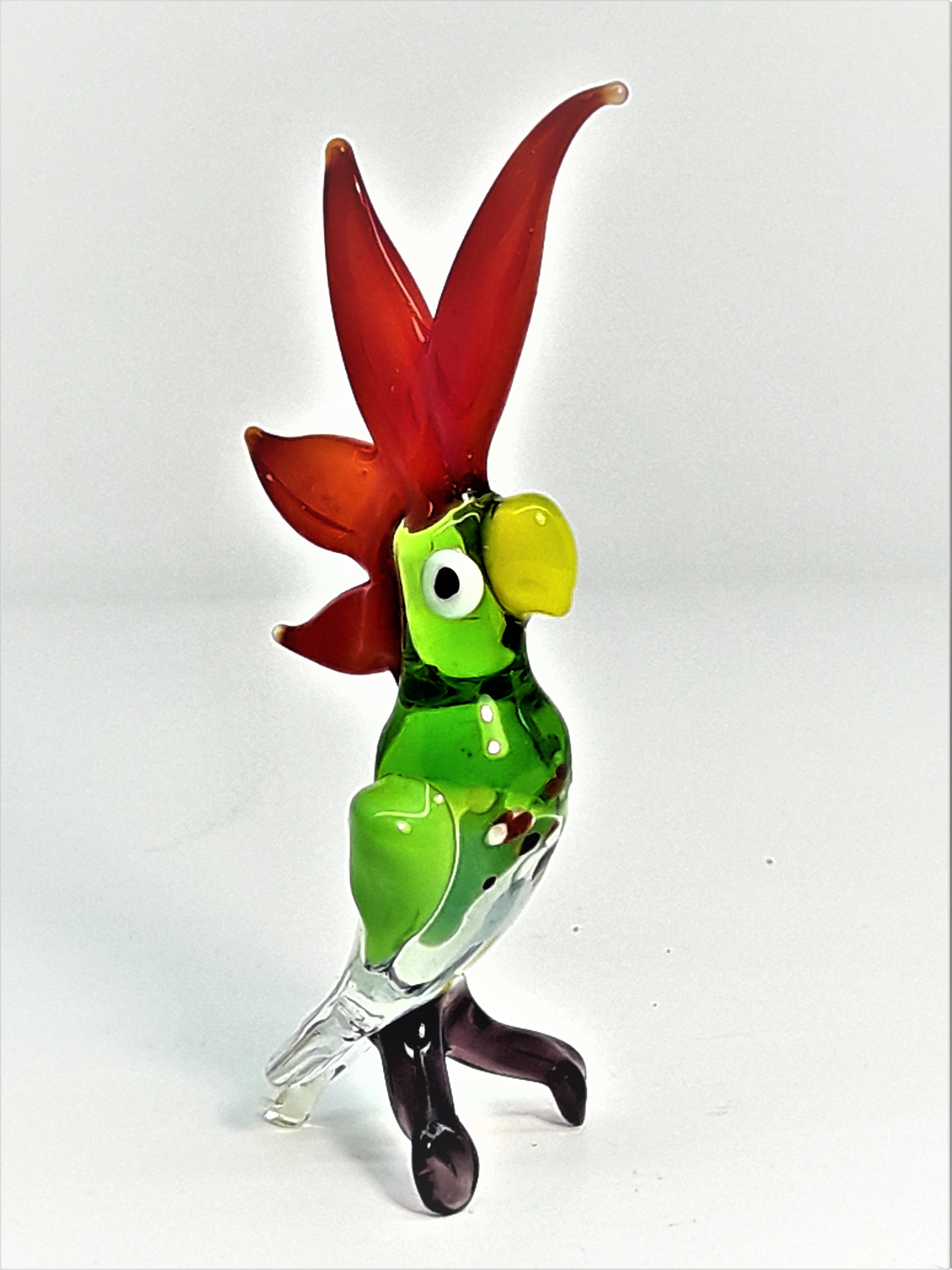 Papuga, Small -072